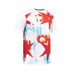 ARI ADEPT CHICAGO25 GRAPHIC RUNNING TEE - WHITE/RED/BLUE