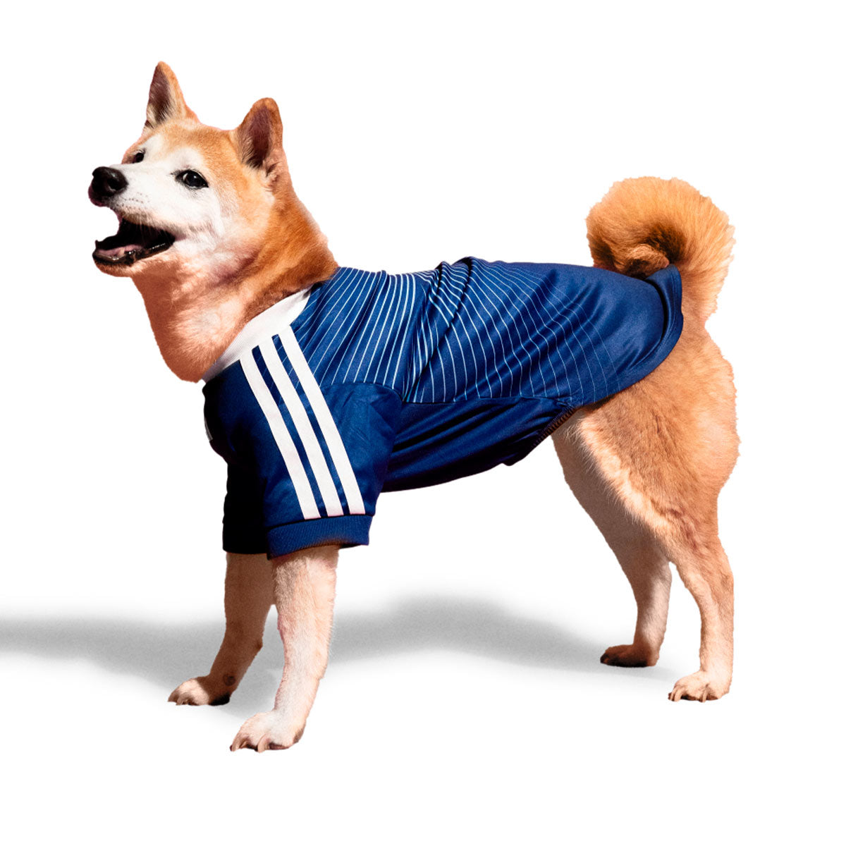 ADIDAS JAPAN 2026 HOME PET JERSEY - JAPAN BLUE/ASH BLUE