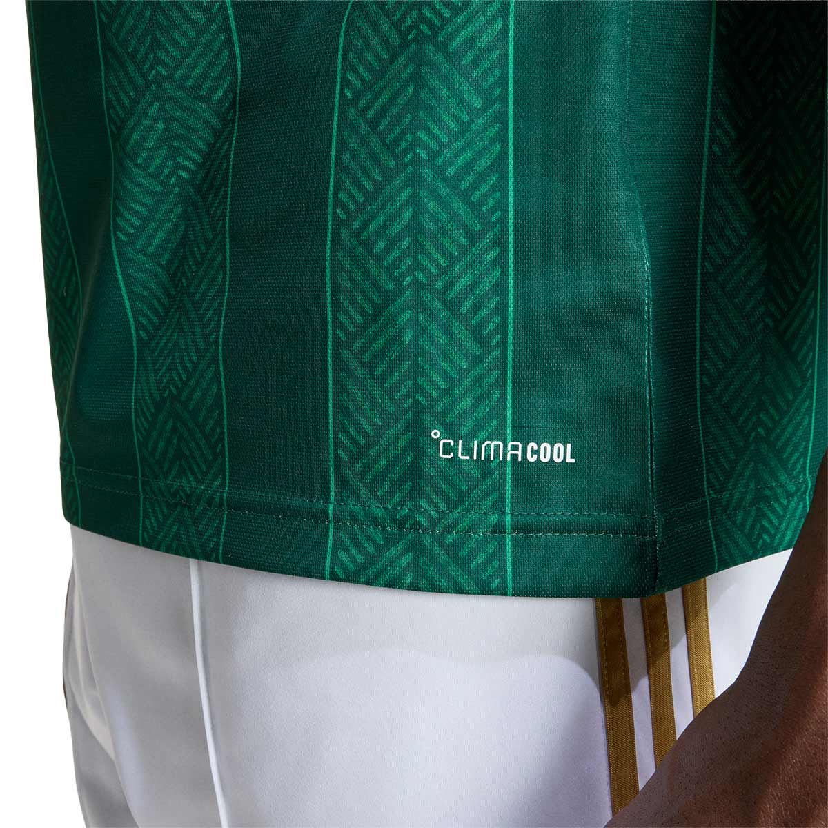 ADIDAS SOUTH AFRICA 2026 AWAY REPLICA JERSEY - TEAM DARK GREEN/TEAM GREEN