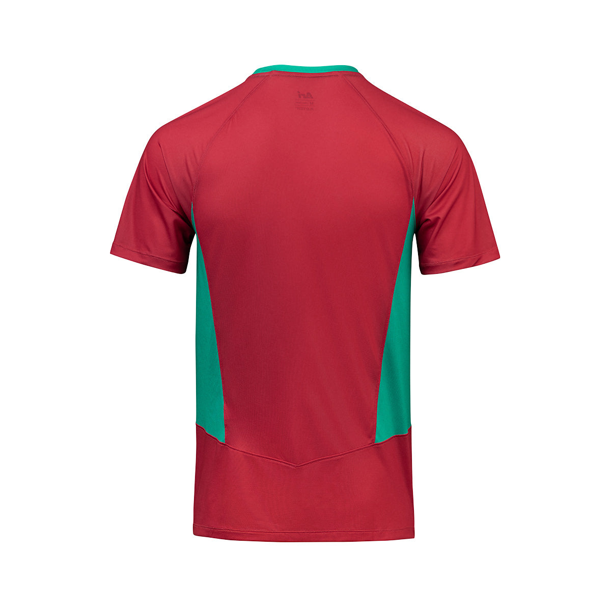 ARI ADEPT ICONIC NATION TEAM JERSEY - RED/GREEN/RED