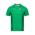 ARI CH3 56ANNIV TURMERIC TEAM GK JERSEY - GREEN/DARK GREEN/GREEN