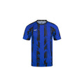 ARI KIDS ADEPT DYNAMIC STRIPES TEAM JERSEY - BLUE/BLACK/BULE