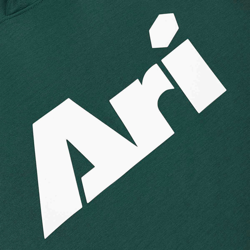 ARI KIDS ESSENTIAL HOODIE - GREEN/WHITE/GREEN