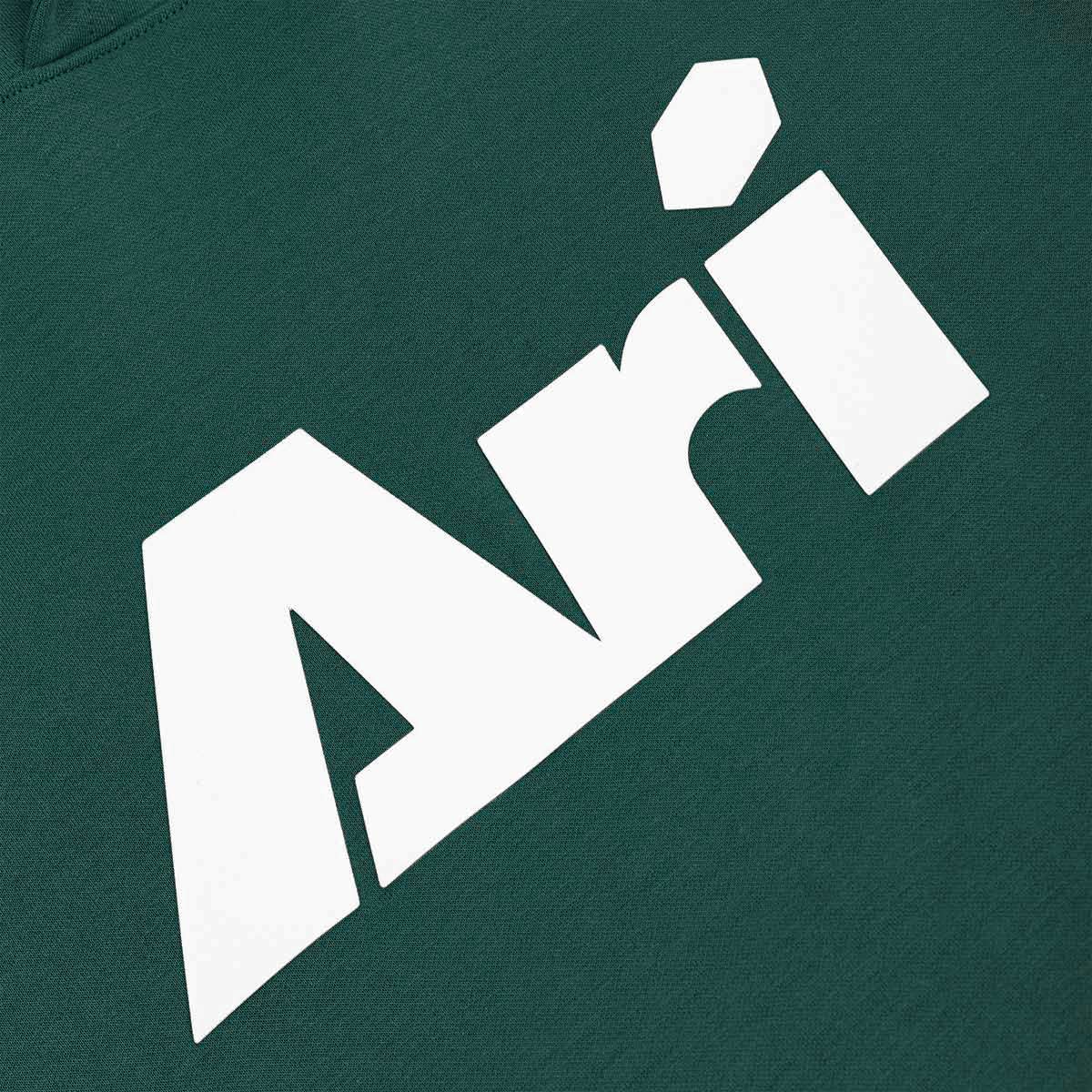 ARI KIDS ESSENTIAL HOODIE - GREEN/WHITE/GREEN