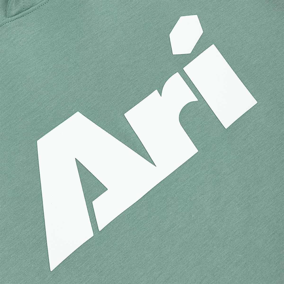 ARI KIDS ESSENTIAL HOODIE - SMOKE GREEN/WHITE/SMOKE GREEN