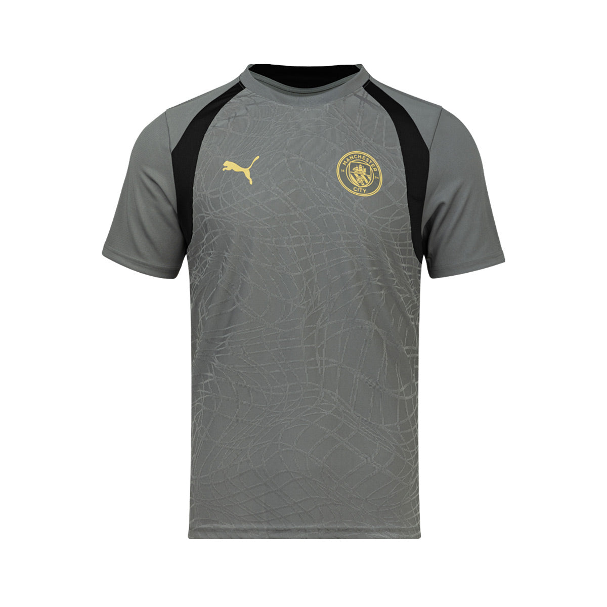PUMA MANCHESTER CITY 2026/2027 TRAINING JERSEY - CAST IRON/FLAXEN