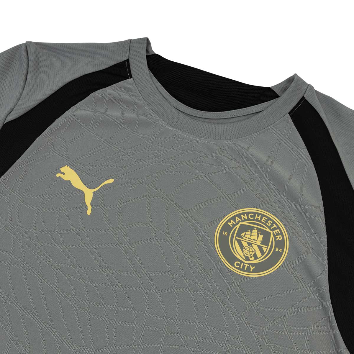 PUMA MANCHESTER CITY 2026/2027 TRAINING JERSEY - CAST IRON/FLAXEN
