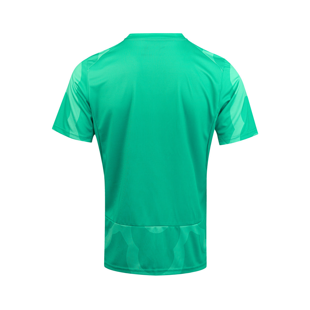 PUMA X IVORY COAST X SALEHE BEMBURY 2026 GOALKEEPER REPLICA JERSEY - SPARKLING GREEN/PUMA BLACK