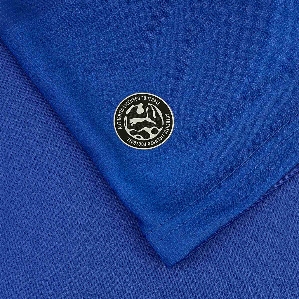 PUMA AL HILAL 2026/2027 HOME REPLICA JERSEY - BLUE INTENSE/VIBRANT SILVER
