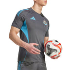 ADIDAS NEWCASTLE UNITED 2025/2026 TRAINING JERSEY - GREY FIVE