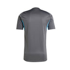 ADIDAS NEWCASTLE UNITED 2025/2026 TRAINING JERSEY - GREY FIVE