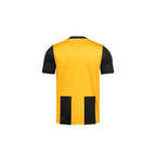 ARI KIDS ADEPT STRIPES TEAM JERSEY - YELLOW/BLACK/WHITE