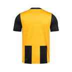 ARI ADEPT STRIPES TEAM JERSEY - YELLOW/BLACK/WHITE