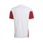 ADIDAS GERMANY 2026 TRAINING JERSEY - WHITE