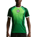 NIKE NIGERIA 2026 HOME REPLICA JERSEY - PINE GREEN/ELECTRIC GREEN/WHITE