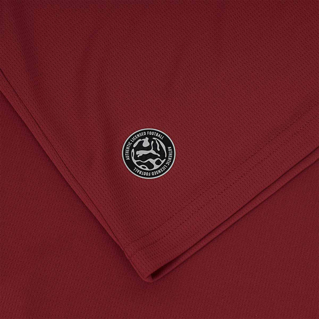 PUMA CZECH 2026 HOME REPLICA JERSEY - DARK CHERRY/PUMA NAVY