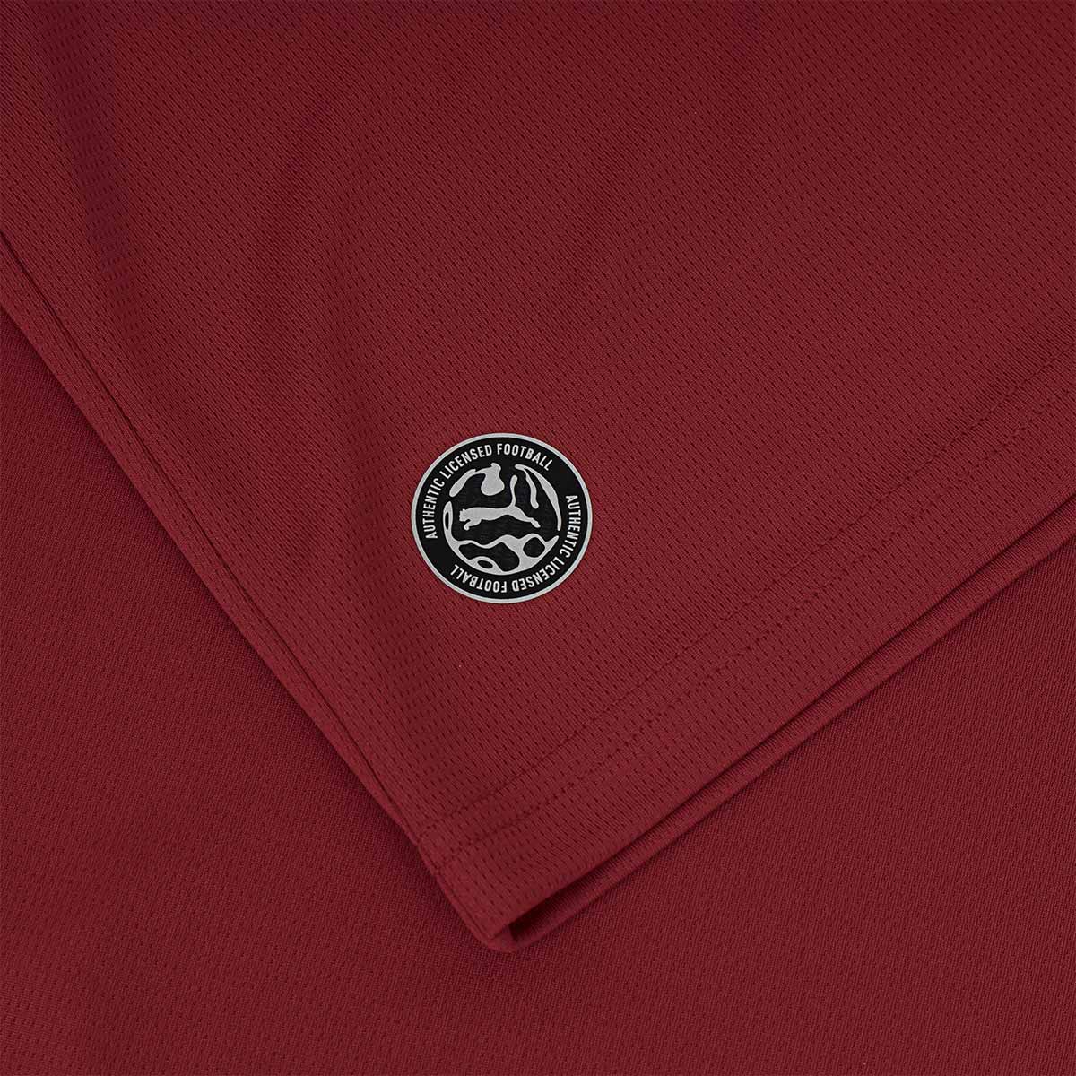 PUMA CZECH 2026 HOME REPLICA JERSEY - DARK CHERRY/PUMA NAVY