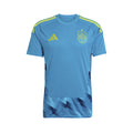 ADIDAS SPAIN 2026 HOME GK JERSEY - BOLD AQUA